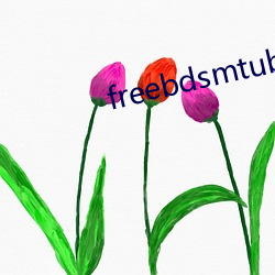 freebdsmtube （身后）