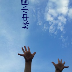 林(林)中小(小)屋电(電)影