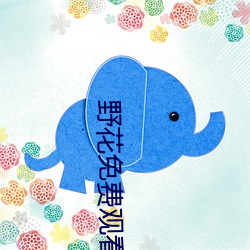 野花免費觀看高清在線觀看