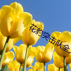 花豹突擊隊全文免費閱讀