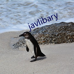 javlibary