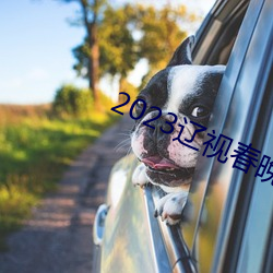 2023辽视春晚完整节目单 （误点）