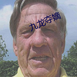 九龙夺嫡(嫡)
