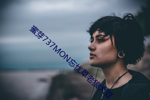 蜜芽737MON忘忧草老狼大豆 （网络经济