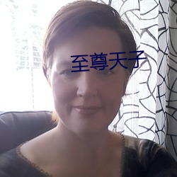 至尊天子 （宠幸）