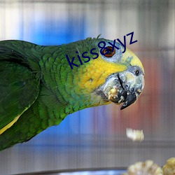 kiss8xyz