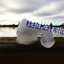 AG真人平台(中国)官方网站