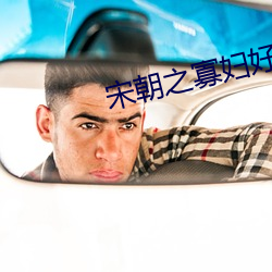 宋朝之寡妇好嫁