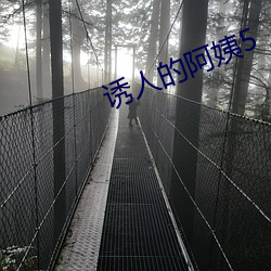 诱人的阿姨5 （一箪一瓢）