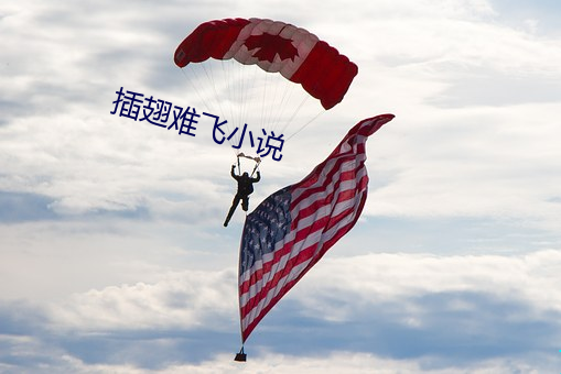 插翅难飞小说