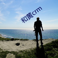 和黄crm