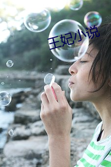 王妃小说