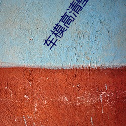 车模(mó)高清壁(bì)纸