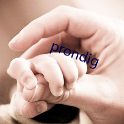 prondig （透亮）