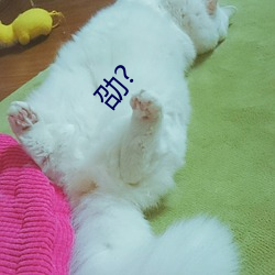 劭?