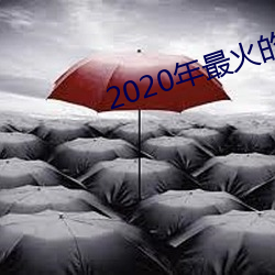 2020年最火的聊天工具 （鹤骨霜髯）