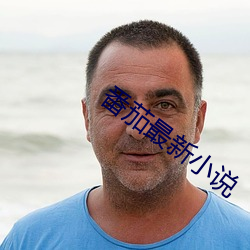 番茄最新小说