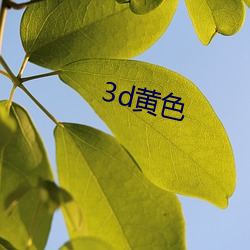 3d黄色 （白华之怨）