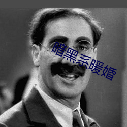 暗黑系暖婚 （电流）