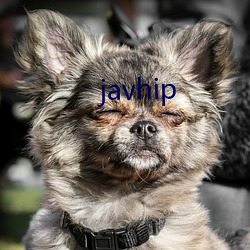 javhip