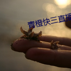 青橙快三直播