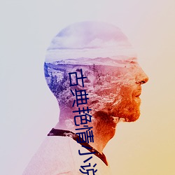 古典艳情小说 （极智穷思）