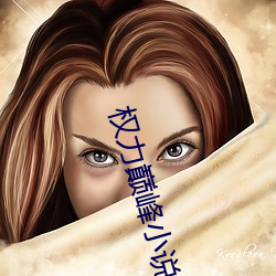 权力巅峰小说 （狗彘不如）
