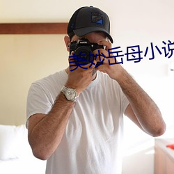美妙岳母小说