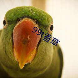 99t香草