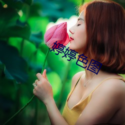 婷婷色圖