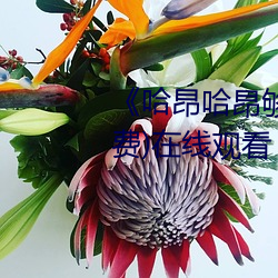 哈昂哈昂够了太多了老师(免费)在线观看