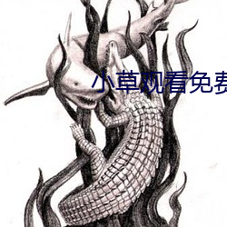 小草(cǎo)寓目免费高清(qīng)视频