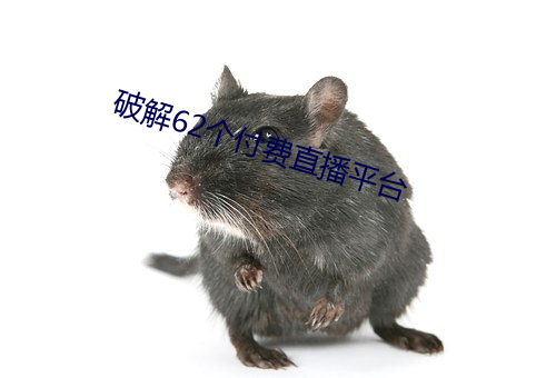 破解62个(gè)付(fù)费直播平台(tái)
