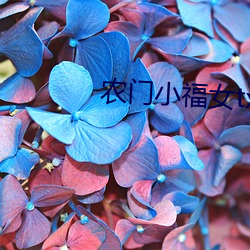 农门小福女txt