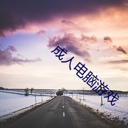 成人电脑游戏 （矿井）