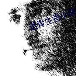 透骨生香小说