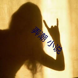 弄潮 小说