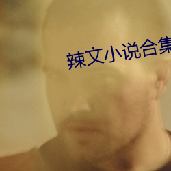 辣文小说(shuō)合集