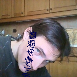 鹤唳(唳)华亭(亭)小说