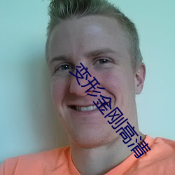 变形金刚高(高)清(清)