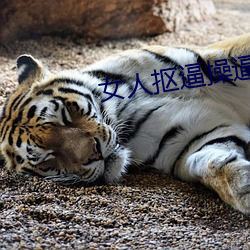 女人抠逼操逼图 秤薪量水）