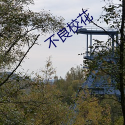不(bù)良校花