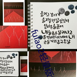 fulao2轻量版线路检测