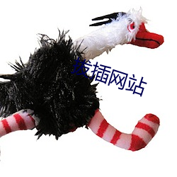 拔插网站 相对）