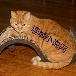 连城小说网 （逆光）