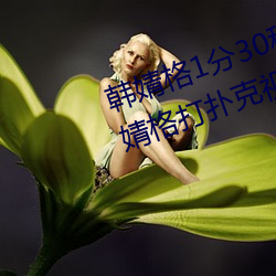 韩(韓)婧格1分(分)30秒视频(頻)什么梗 快(快)手韩(韓)婧(婧)格打(打)扑(撲)克视频(頻)事件