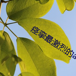 痉挛最激烈的av