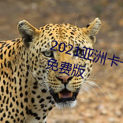 2021亚洲卡一卡二新区乱码入口免费版