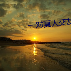 一对(對)真人(人)交(交)友