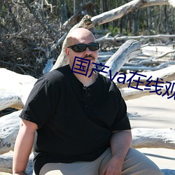 国产va在线观看